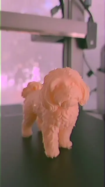 Figura 3D de Petunia, perrita maltés de pelo rizado, recién impresa en resina